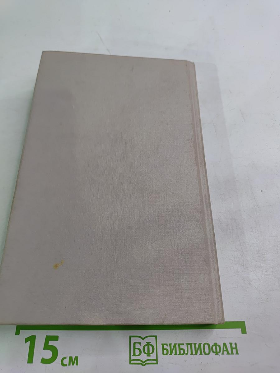 Отечественный опыт