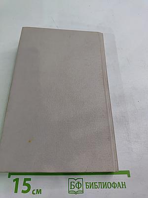 Отечественный опыт