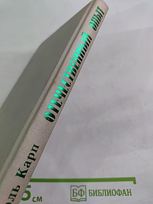 Отечественный опыт