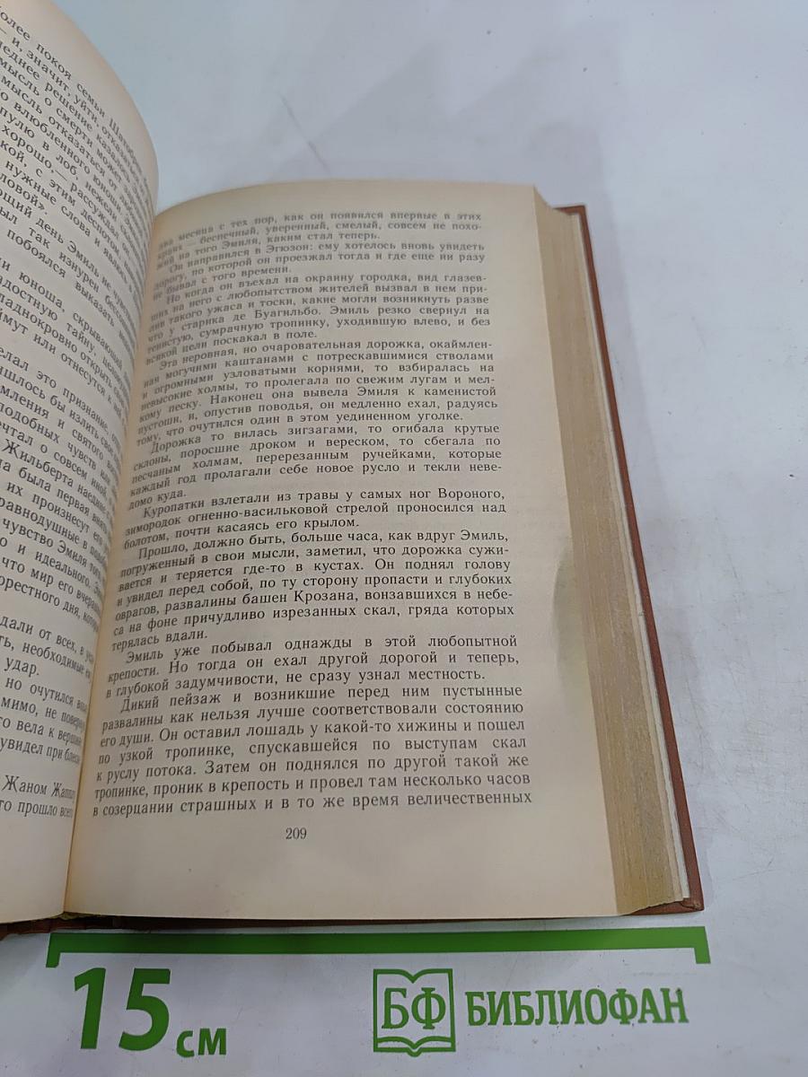 Грех господина Антуана