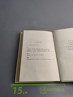 Пальмовая ветвь, Погоны и Пеньюар