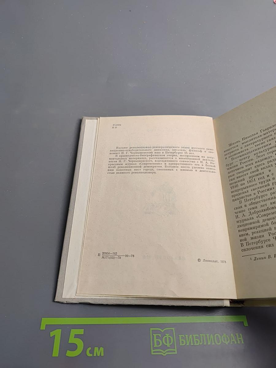 Чернышевский в Петербурге