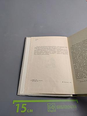 Чернышевский в Петербурге