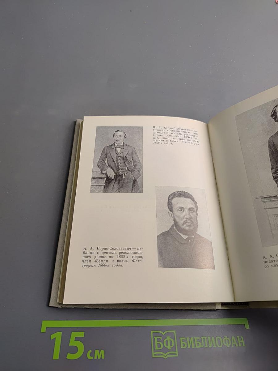 Чернышевский в Петербурге