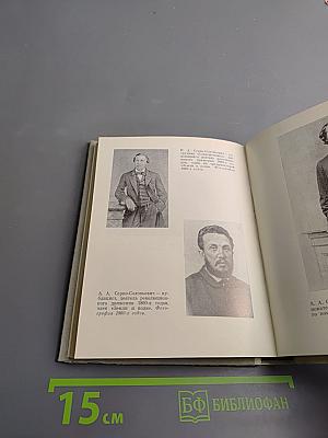 Чернышевский в Петербурге