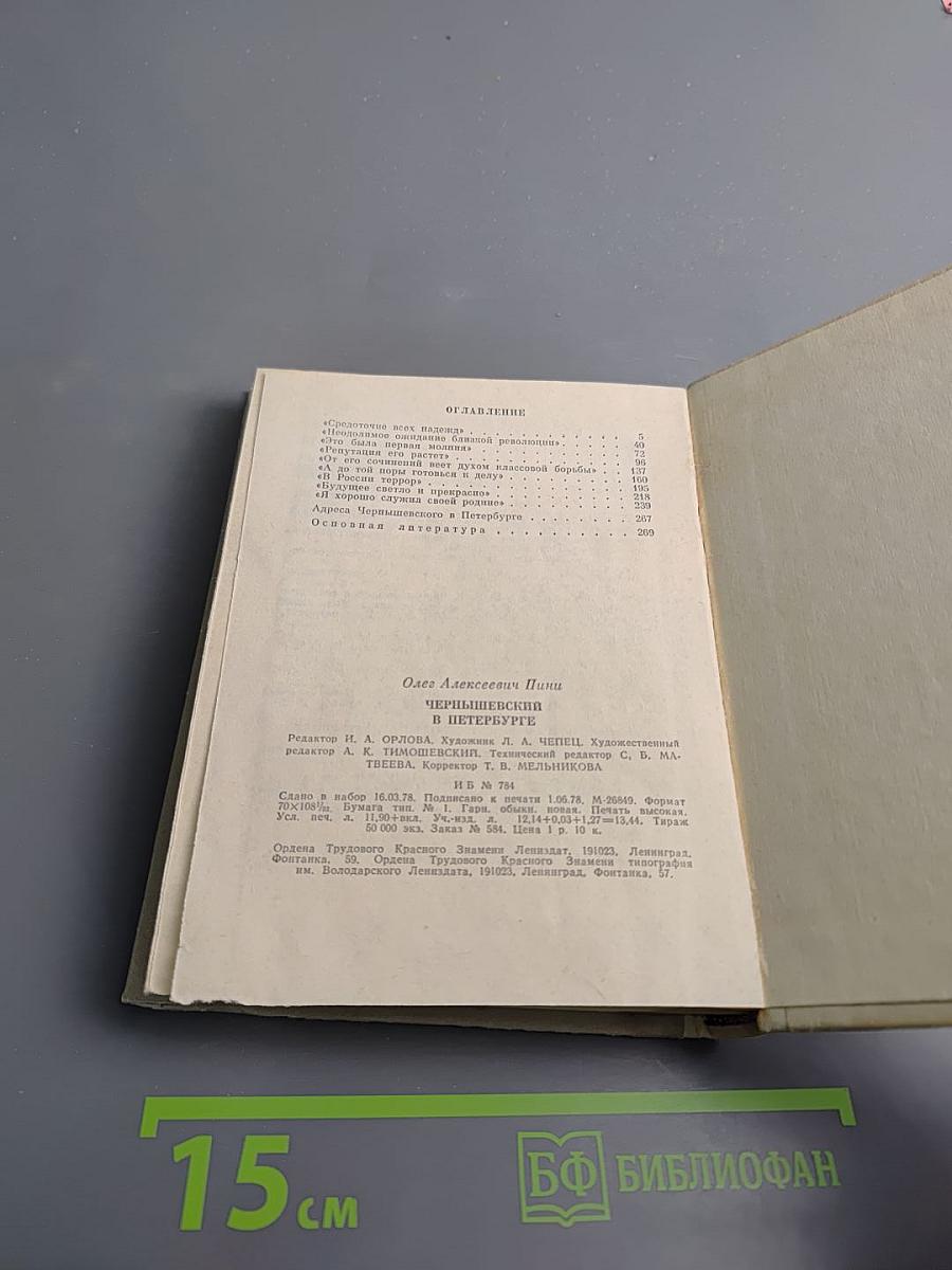 Чернышевский в Петербурге