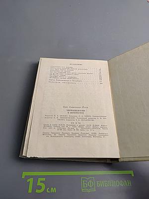 Чернышевский в Петербурге