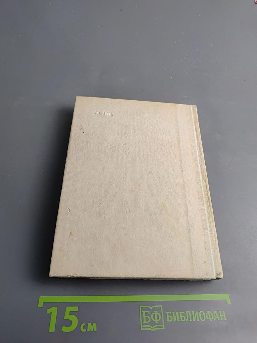 Чернышевский в Петербурге