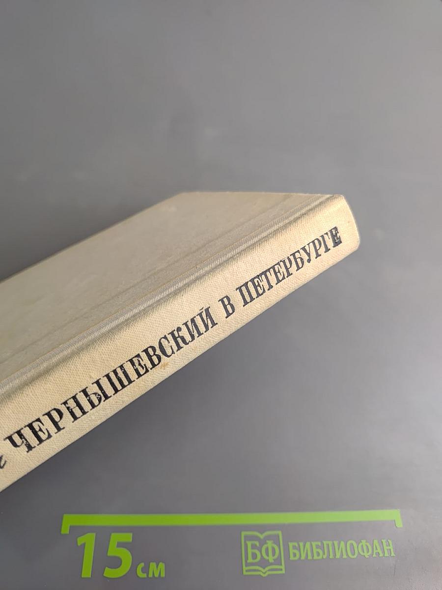 Чернышевский в Петербурге