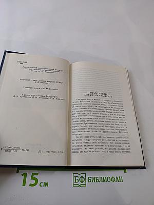 Александр Борисов