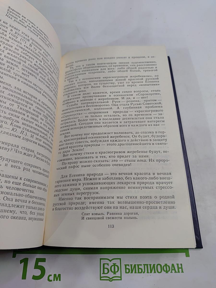 И неподкупный голос мой... Поэты России