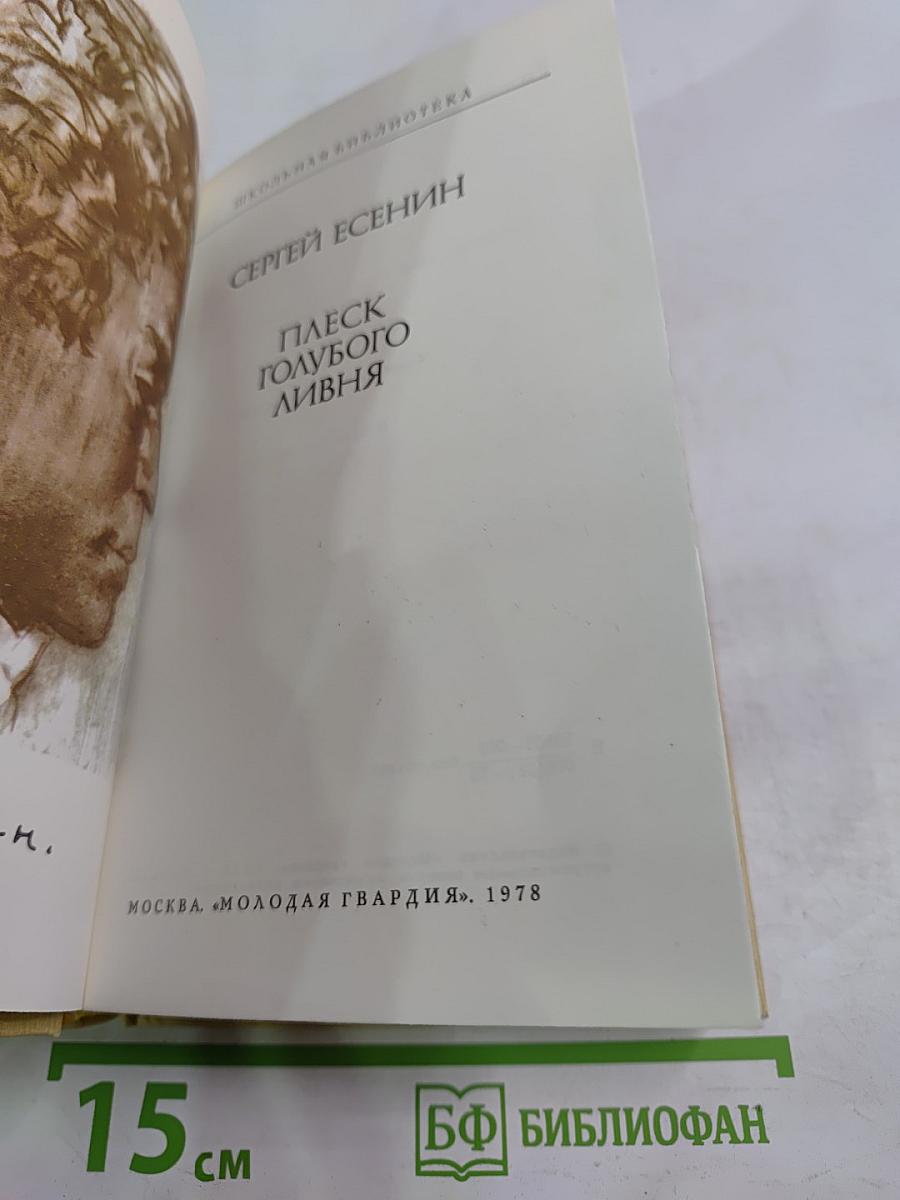 Плеск голубого ливня