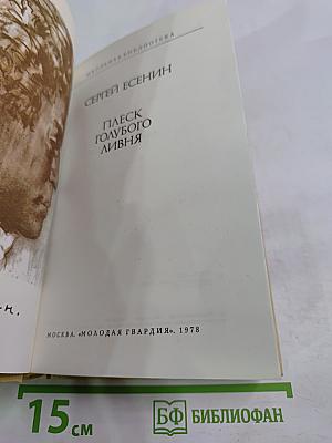 Плеск голубого ливня