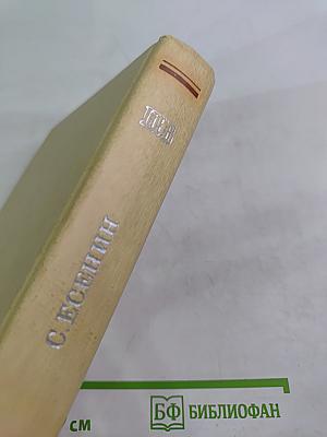 Плеск голубого ливня