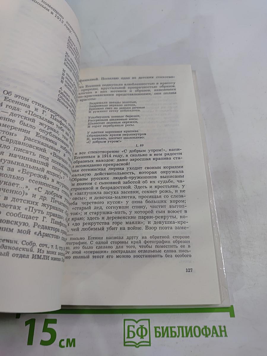 Сергей Есенин. Образ, Стихи, Эпоха