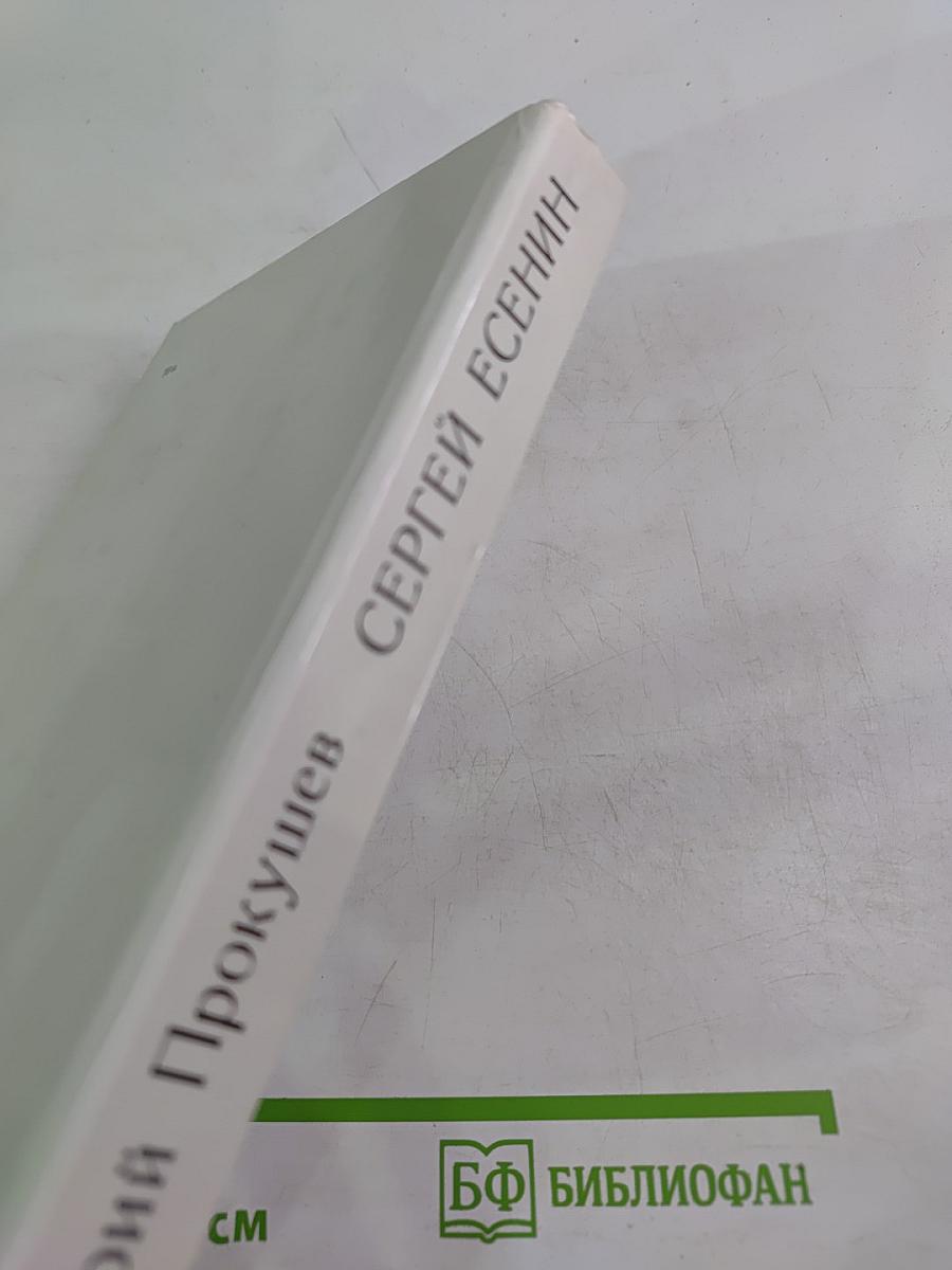 Сергей Есенин. Образ, Стихи, Эпоха