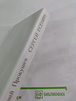 Сергей Есенин. Образ, Стихи, Эпоха