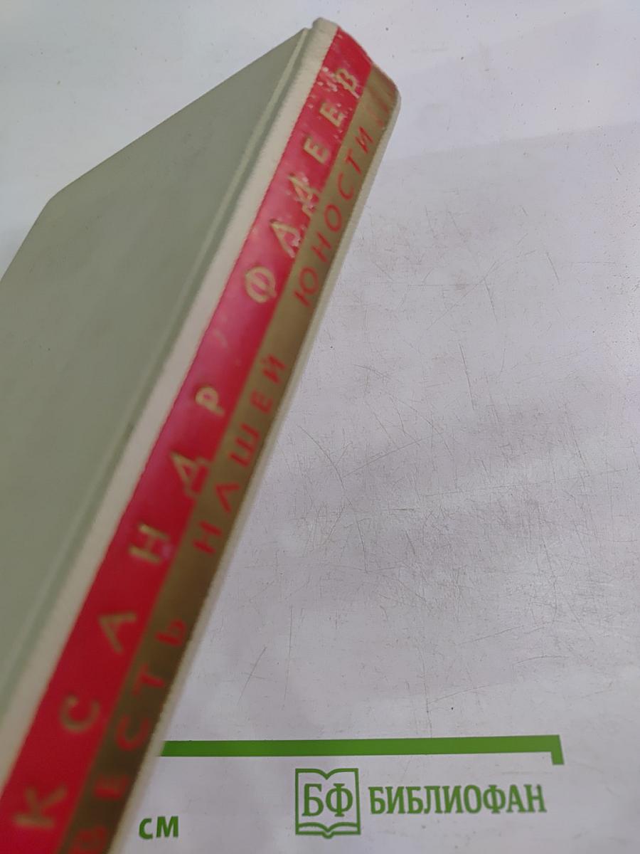 ...Повесть нашей юности