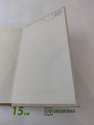 Ночью на белых конях