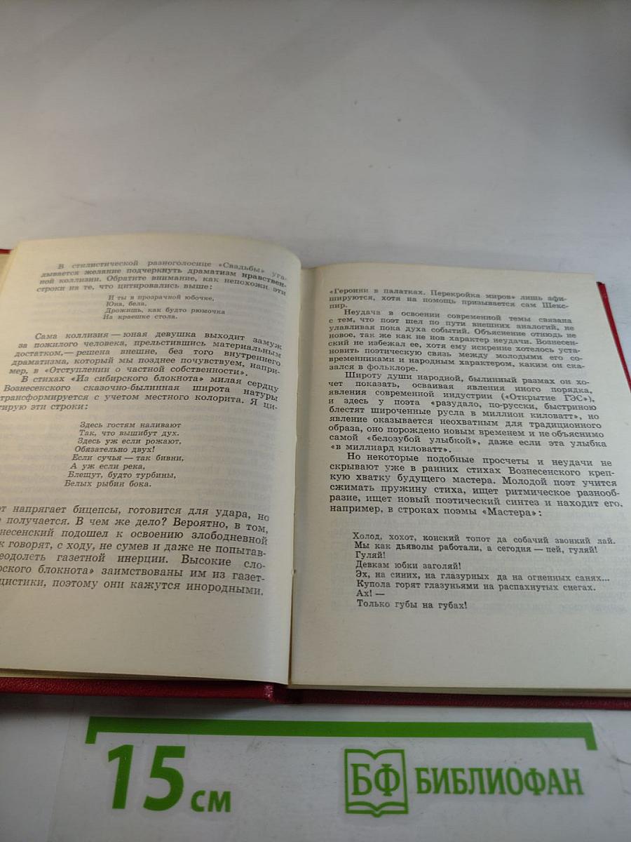 Андрей Вознесенский. Этюды