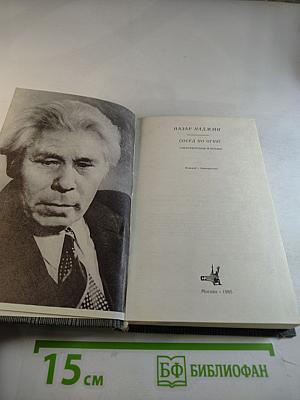 Сосед по огню: Стихотворения и поэма