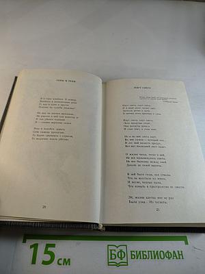 Сосед по огню: Стихотворения и поэма