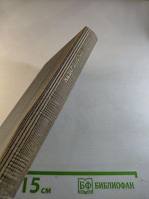 Сосед по огню: Стихотворения и поэма