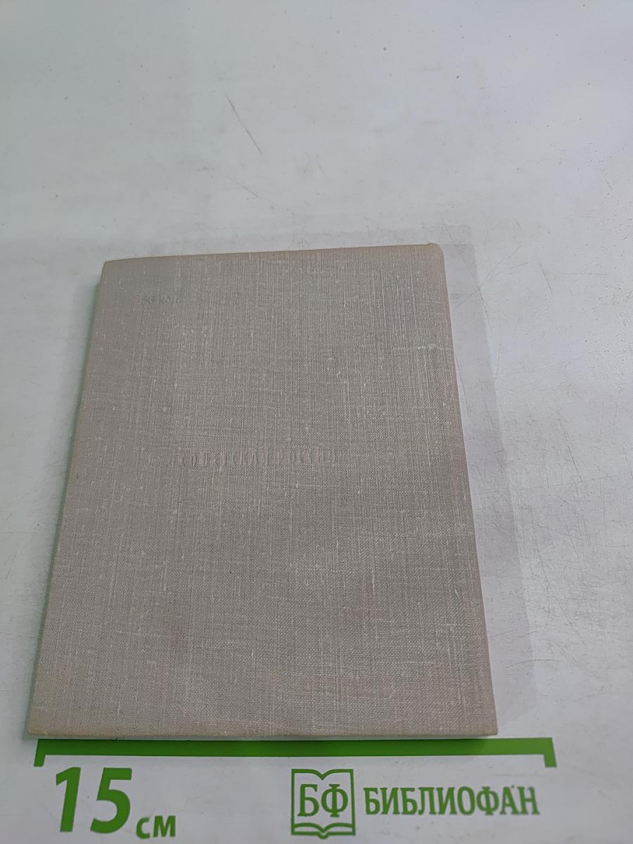 Тайны старого колчана или Легенды о мастере Тычке