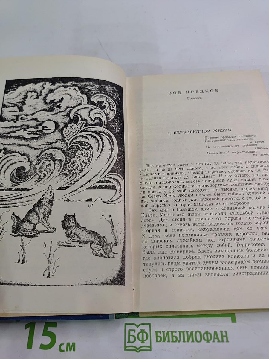Северная Одиссея. Повесть и рассказы