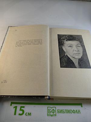 Первая зима