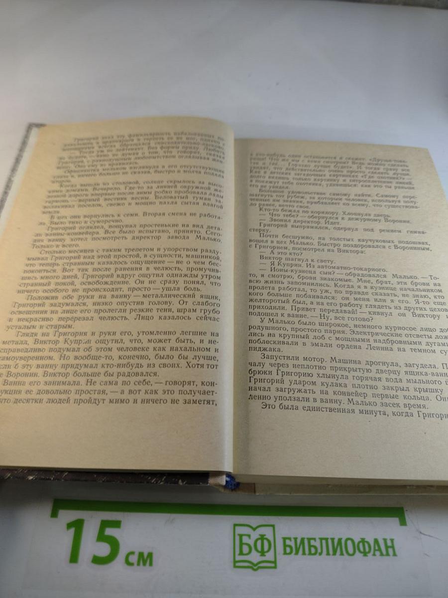 Первая зима