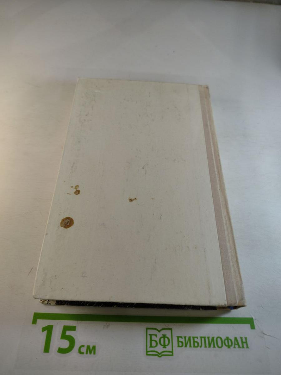 Первая зима