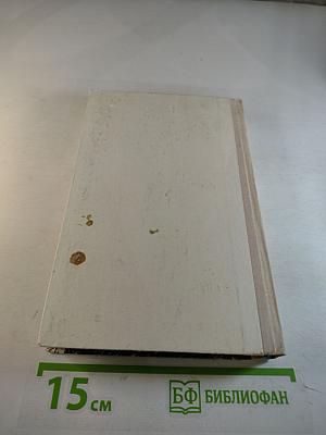 Первая зима