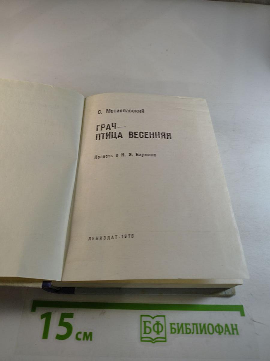 Грач — птица весенняя