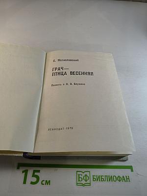 Грач — птица весенняя