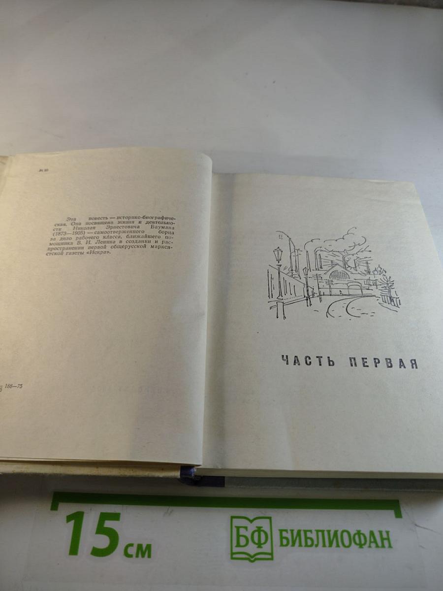 Грач — птица весенняя