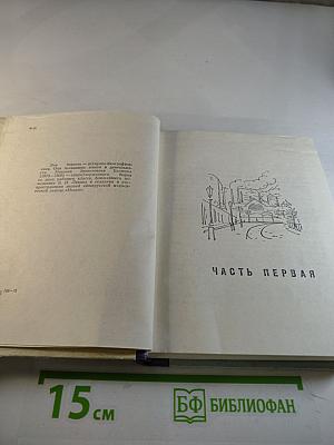 Грач — птица весенняя