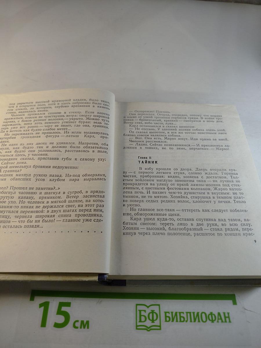 Грач — птица весенняя