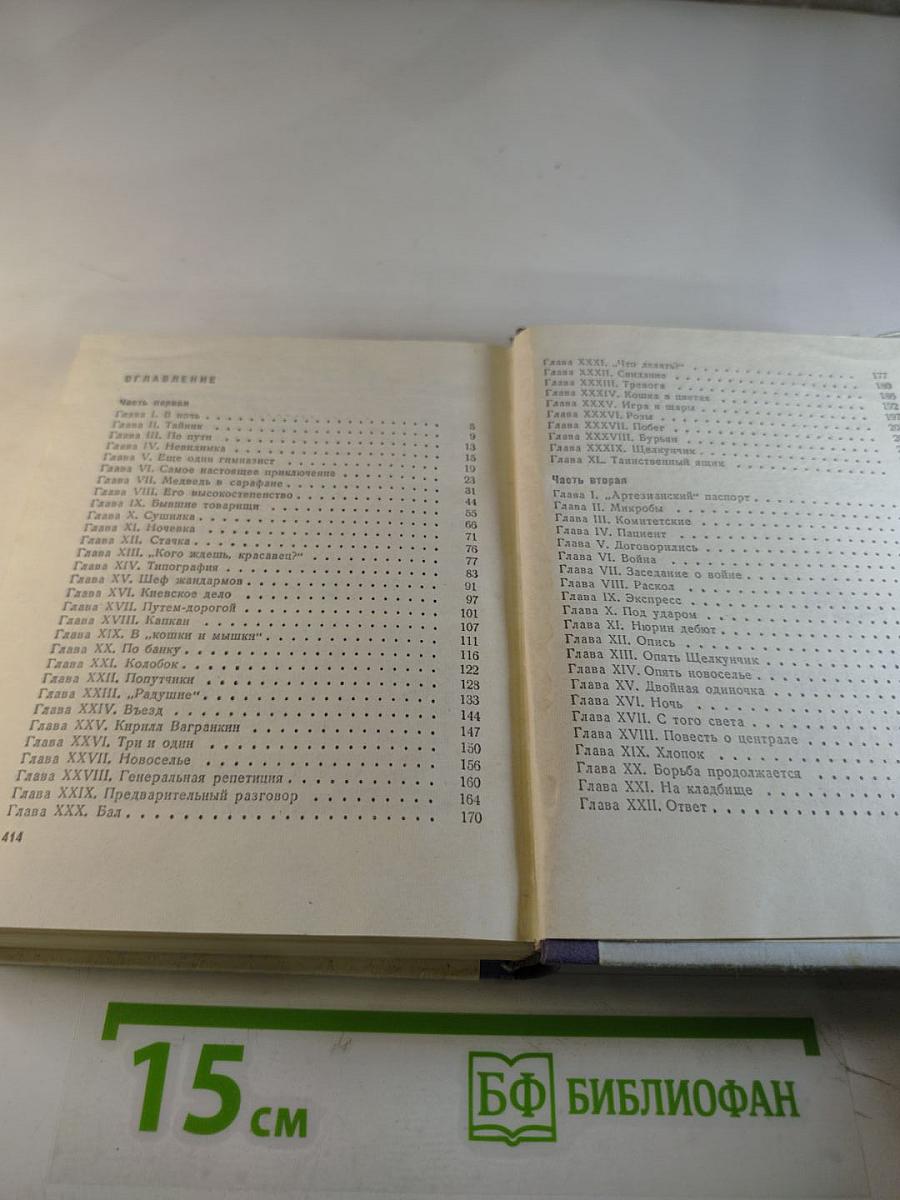 Грач — птица весенняя