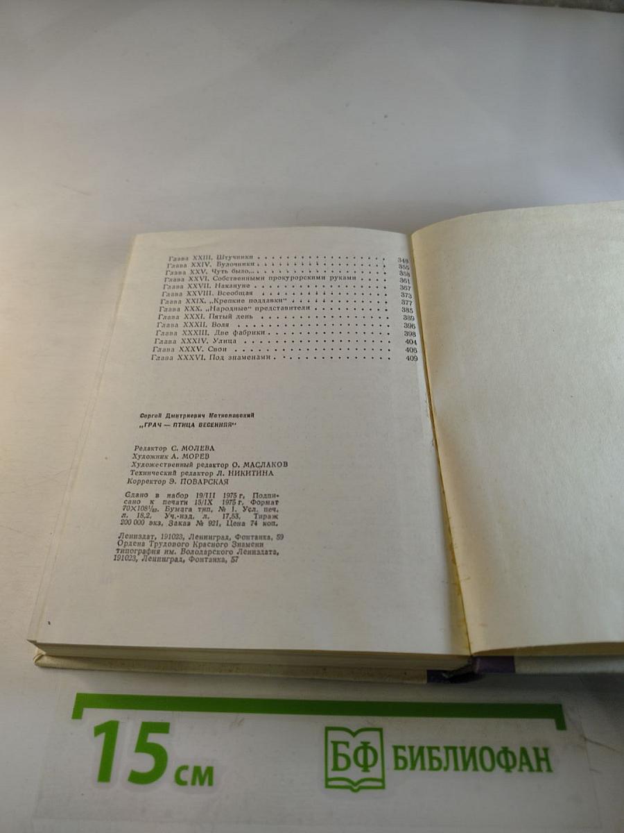 Грач — птица весенняя