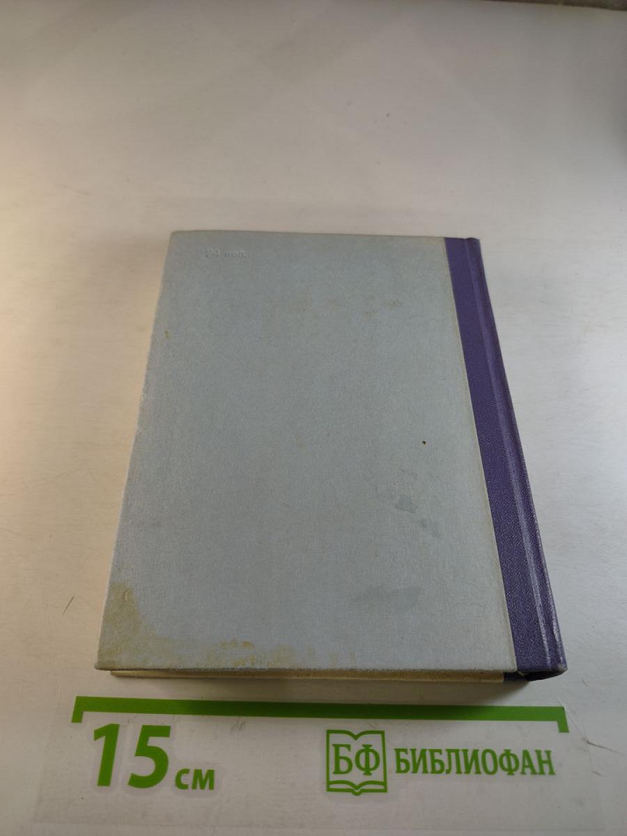 Грач — птица весенняя