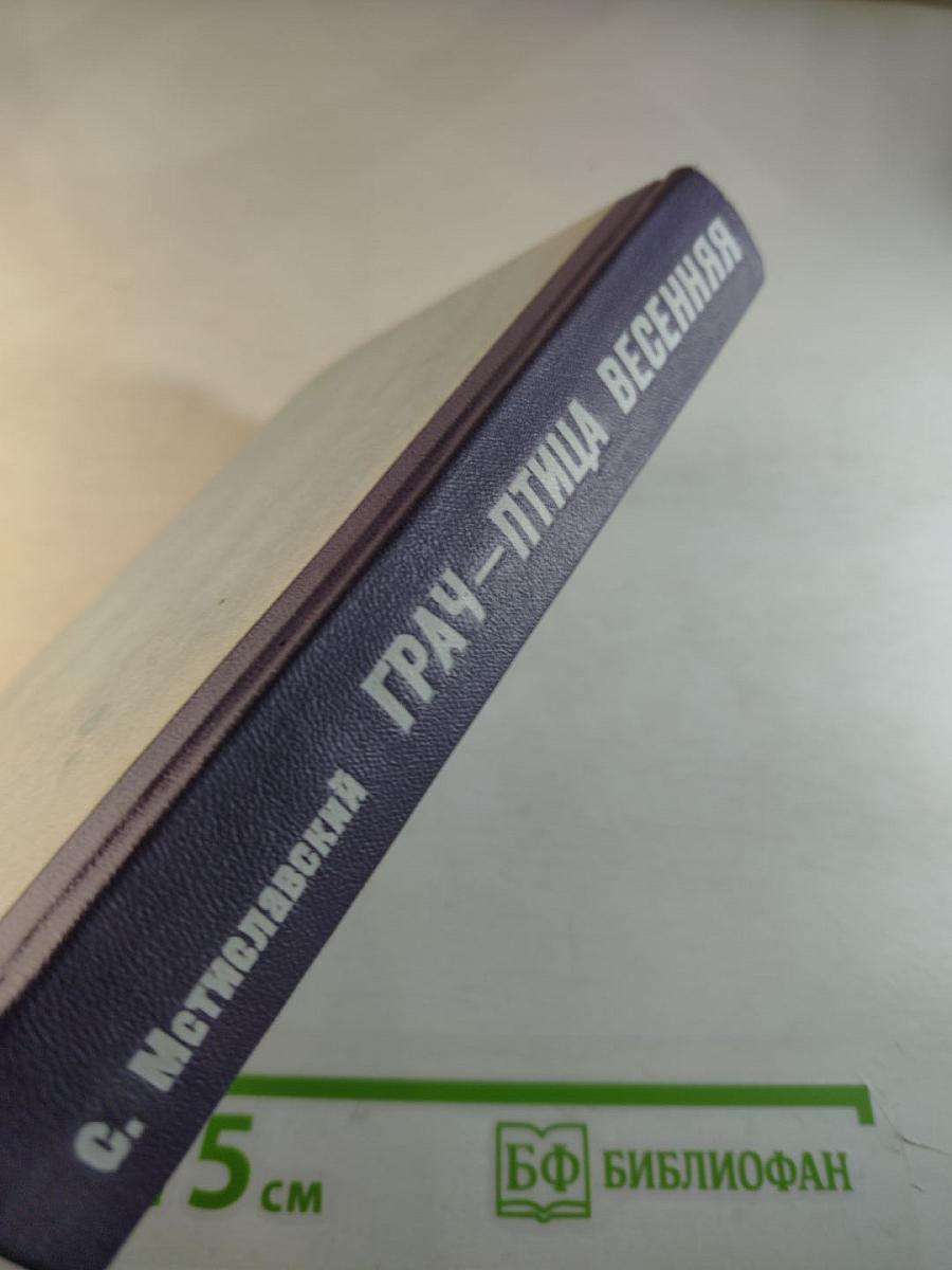 Грач — птица весенняя