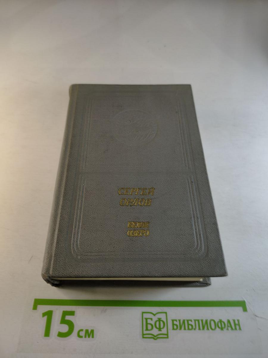 Белое озеро. Стихи и поэмы