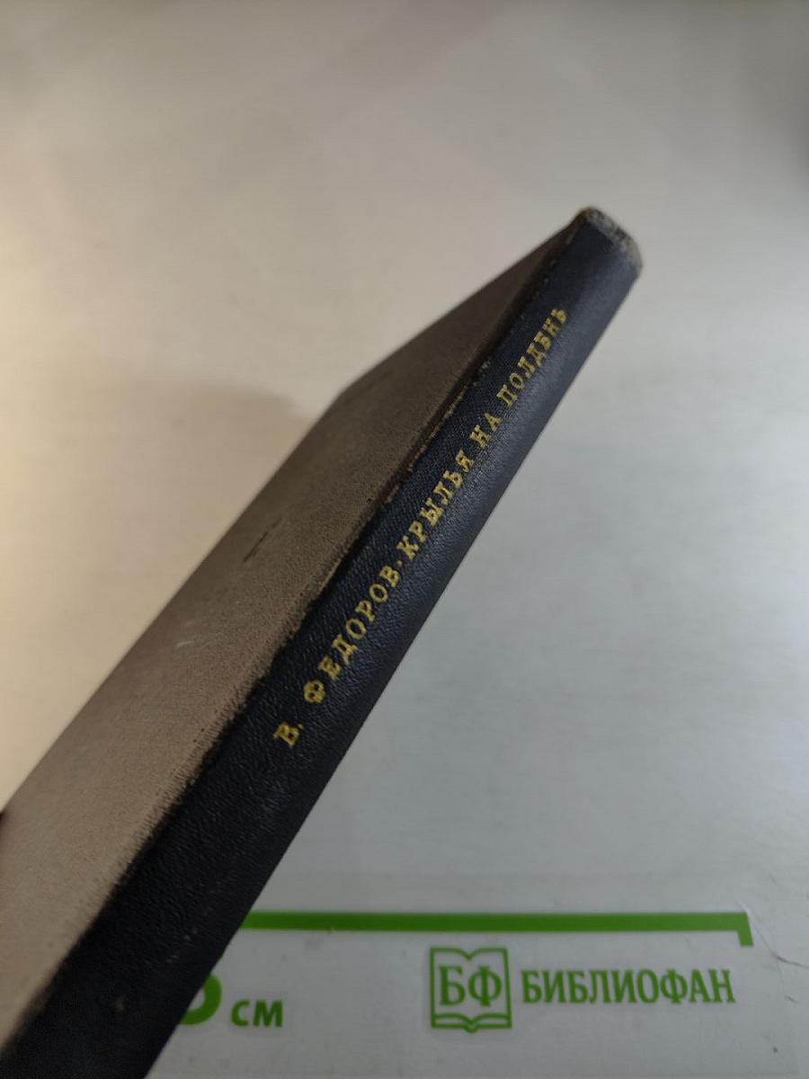 Крылья на полдень