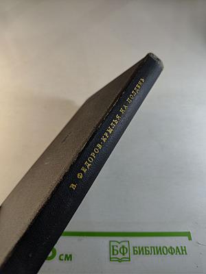 Крылья на полдень