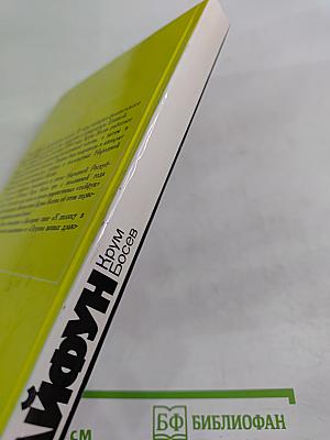 Тайфун. Записки из Китая