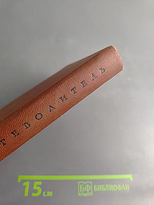 Искусство Западной Европы. Путеводитель по Музею