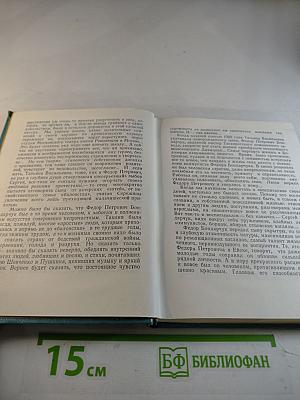 Мера Красоты