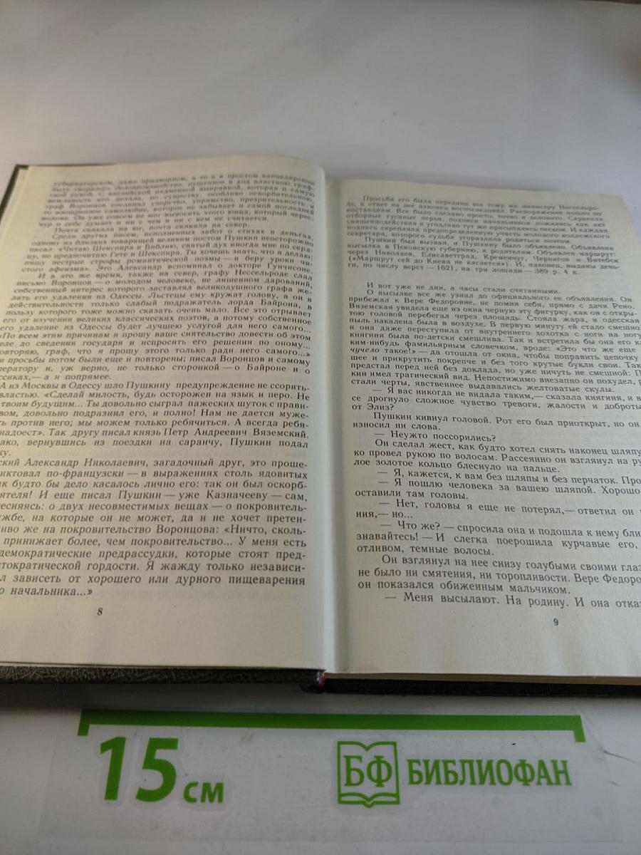 Пушкин в Михайловском