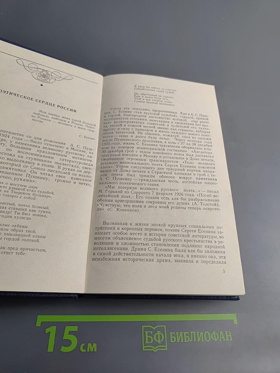 Достоинство слова